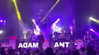 Adam Ant 282029 (413 visits) Adam Ant 282029