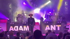 Adam Ant 282129 (400 visits) Adam Ant 282129