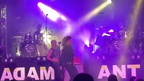 Adam Ant 282229 (394 visits) Adam Ant 282229