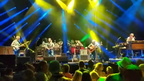 String Cheese Incident (392 visits) String Cheese Incident