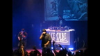 Ice Cube 285290