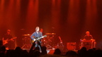 Jackson Browne (250 visits) Jackson Browne