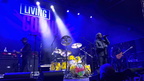 Living-Colour-Dallas-2024-5