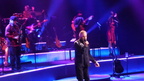 Neil Diamond (551 visits) Neil Diamond