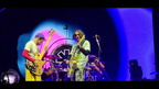 Redhot Chili Peppers 28929