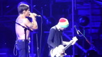 Red-Hot-Chili-Peppers-6