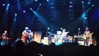 Wilco (591 visits) Wilco