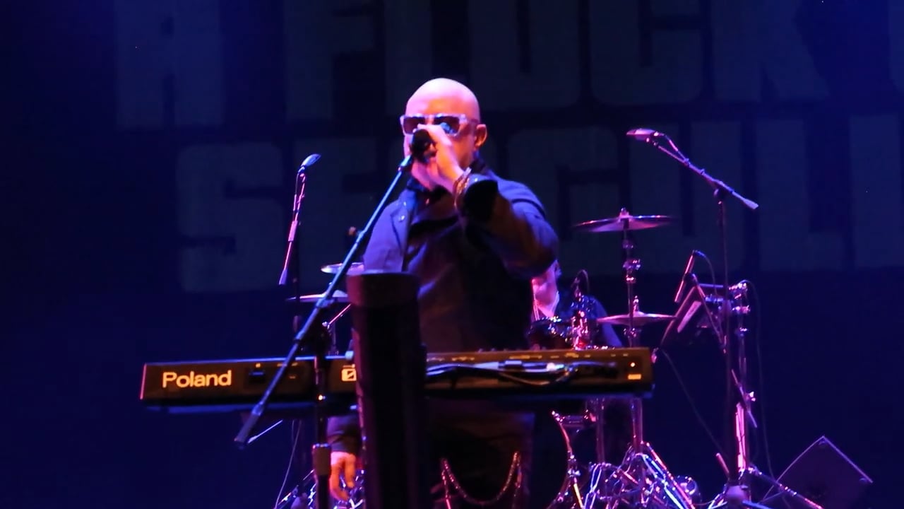 A_Flock_of_Seagulls (14)
