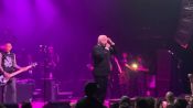 Filename=goldfinger_282229.jpg
Filesize=135KiB
Dimensions=1280x720
Date added=Jun 27, 2025 goldfinger_282229.jpg
