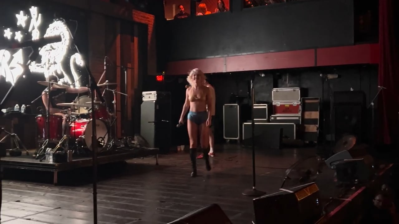 Amyl_and_the_Sniffers_5
