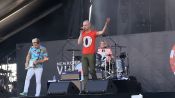 Neon_Trees.jpg