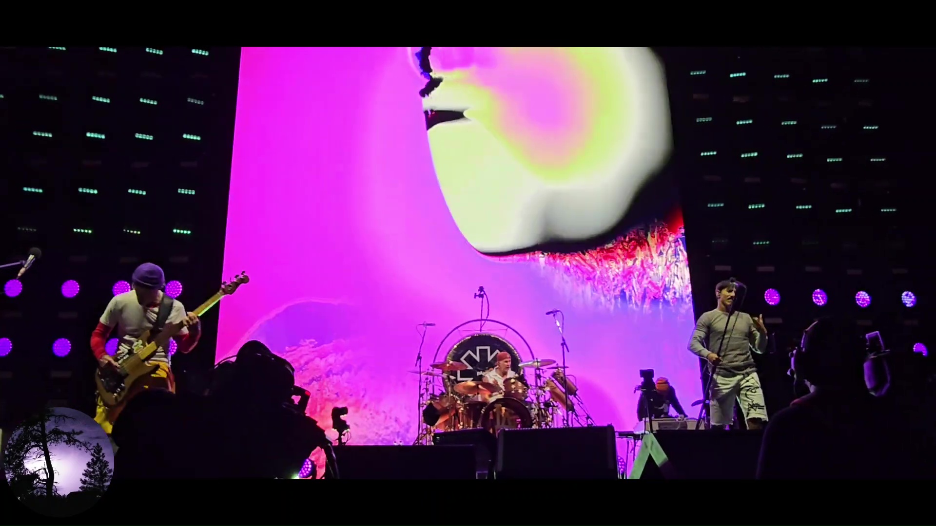 Redhot_Chili_Peppers_281329
