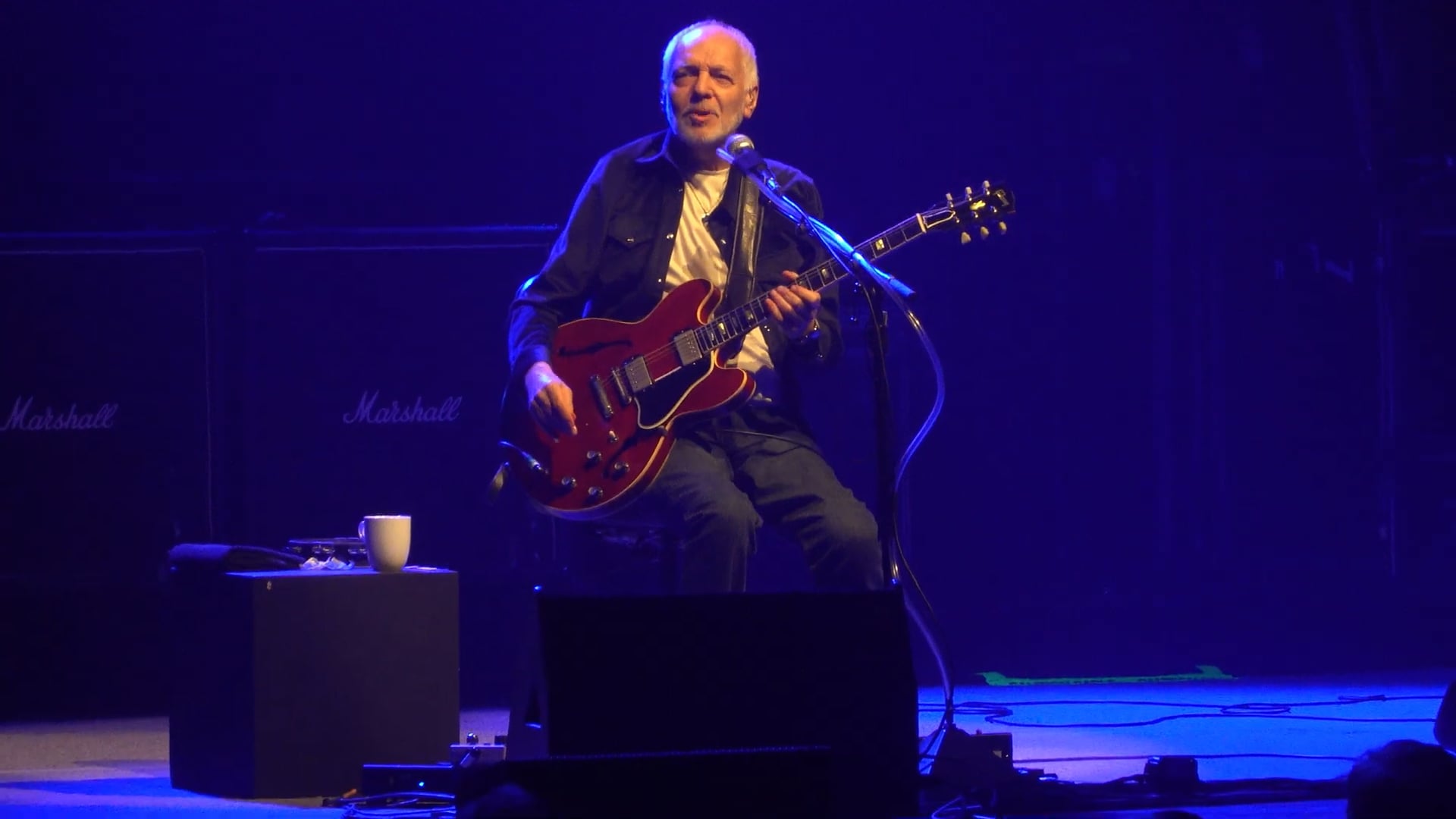 Peter Frampton – Cobb Energy Centre, Atlanta, GA (2028)
