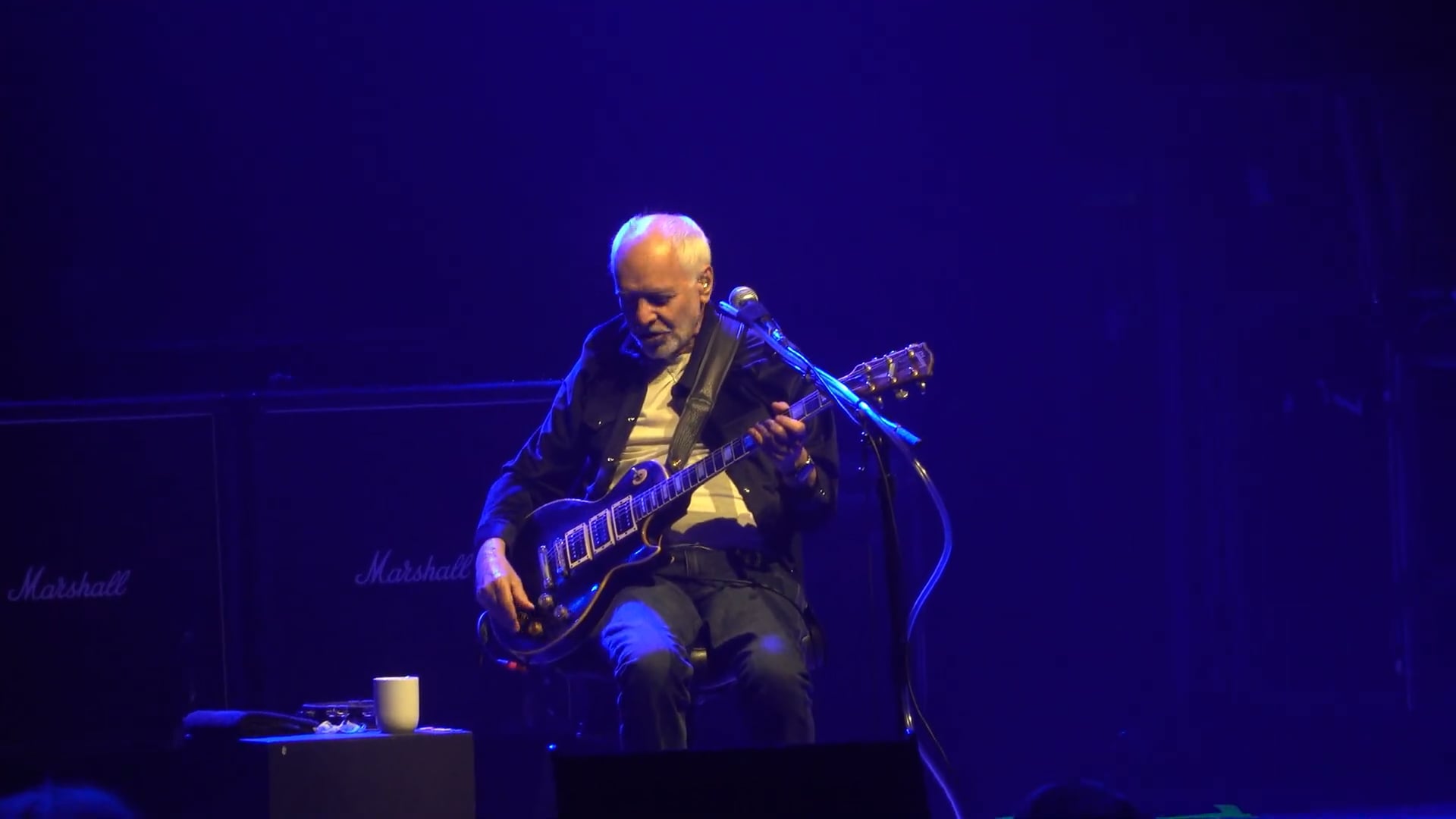 Peter Frampton – Cobb Energy Centre, Atlanta, GA (2031)
