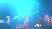 Phish_283129_1.jpg