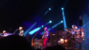 Phish_283229_1.jpg