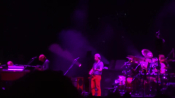 Phish_283329.jpg