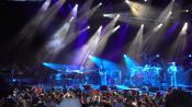 phish_284529_1.jpg
