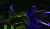 phish_286290.jpg