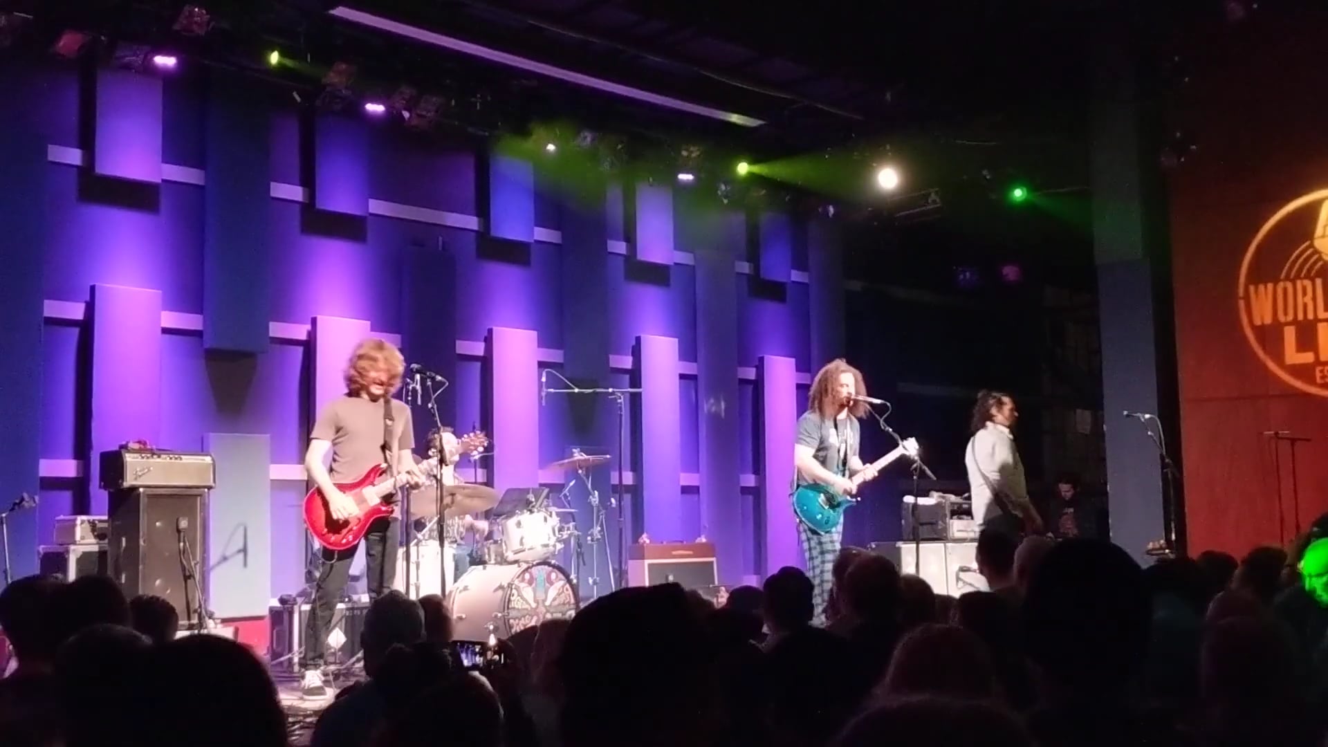 Pigeons-Playing-Ping-Pong-10
