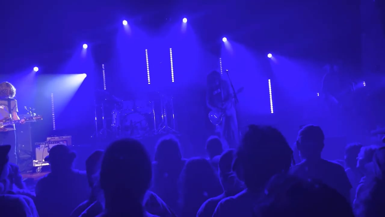 Pigeons-Playing-Ping-Pong-8
