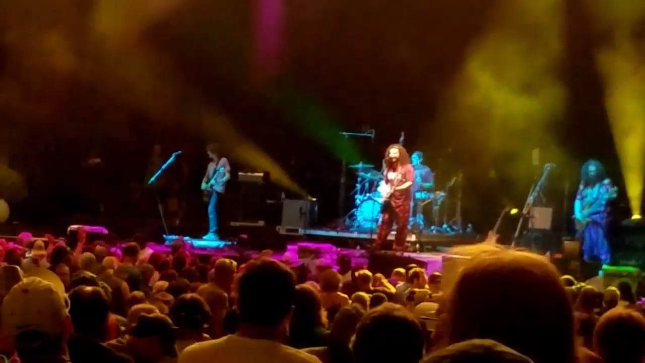 Pigeons-Playing-Ping-Pong-9
