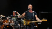 Sting-16.jpg