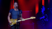 Sting-17.jpg