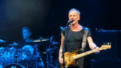 Sting-21.jpg