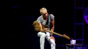 Sting-5.jpg