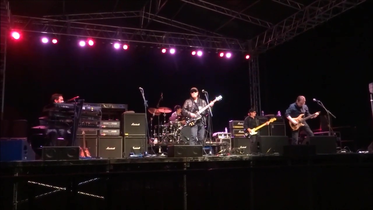 Blue Oyster Cult (14)
